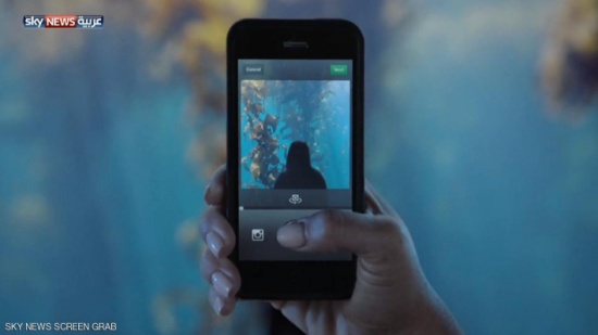 "قصص إنستغرام".. وزيادة الإعلانات