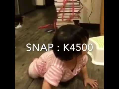 بالفيديو.. قطة تنتقم من طفلة وتسقطها أرضا