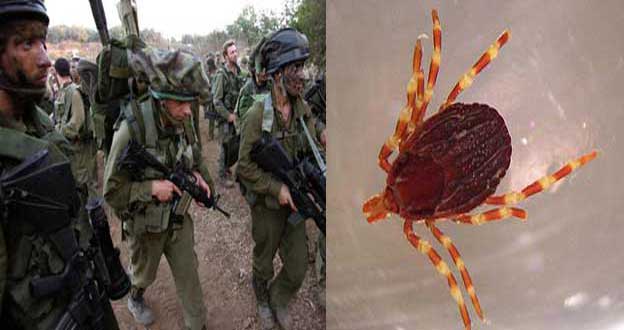 إخلاء قاعدة عسكرية قرب عسقلان بعد هجوم من حشرة "القراد"