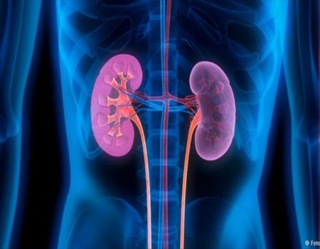 طريقة للمحافظة على صحة الكلى
