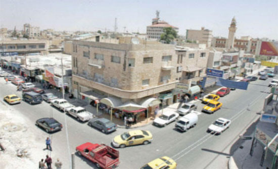 المفرق: مطالب بازالة اشجار الزينة داخل دوار الدبابة وجزر وسطية المفرق: مطالب بازالة اشجار الزينة داخل دوار الدبابة وجزر وسطية