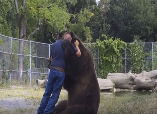 بالفيديو: عناق دب لصديقه المفضل في لحظات تمس القلب