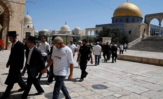 مستوطنون يعتدون على فلسطينيين في تل الرميدة بالخليل مستوطنون يعتدون على فلسطينيين في تل الرميدة بالخليل