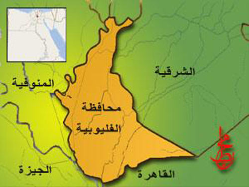 حاولت إصابة إبنها بعاهة مستدمية لتتسول عليه فقتلته 