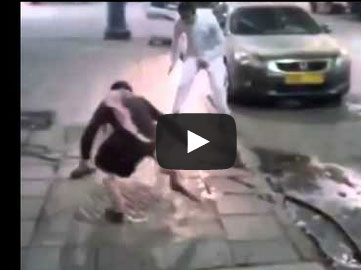 قطة لا تتردد بالهجوم دفاعا عن صغيرها