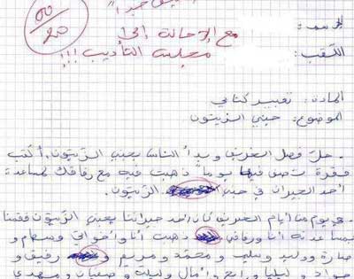 قبل العطلة.. إحالة طفل إلى مجلس تأديبي ( إقرأوا السبب التافه ) !