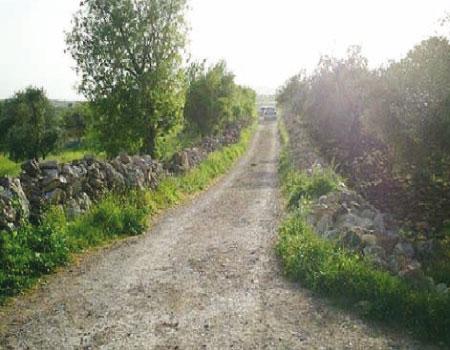 طلبة امريكيون يزورون معالم سياحية في الكورة