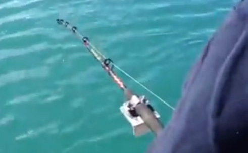 صياد يتفاجئ بأن العالق بسنارته حوت