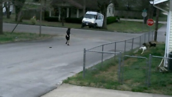 حافلة بريد تعاند سائقها ثم تتوقف