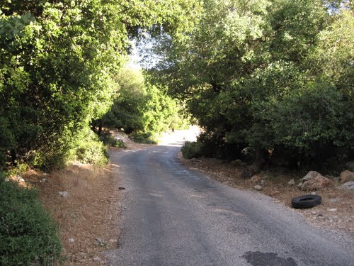 مشروع لتوسعة طريق برقش السياحي