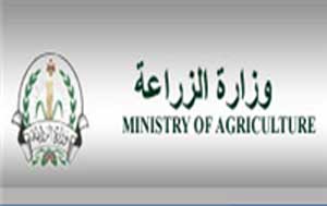 الزراعة تدعو المزارعين الى استخدام عمليات الري التكميلي للاشجار المثمرة  