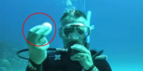 بالفيديو.. لن تصدقوا ماذا يحدث عند كسر بيضة تحت المياه