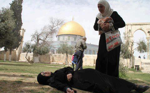 الاحتلال يقتحم الحرم القدسي وإصابات بين المصلين