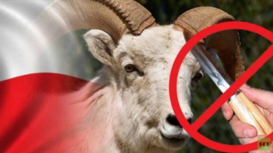 هل يجوز تناول لحم الأضاحي مباشرة بعد ذبحها ؟ هل يجوز تناول لحم الأضاحي مباشرة بعد ذبحها ؟