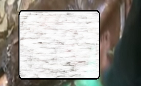 أفعى تلتهم امرأة في إندونيسيا