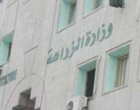 زراعة اربد تتوقع زيادة انتاج المحاصيل الشتوية 40 %