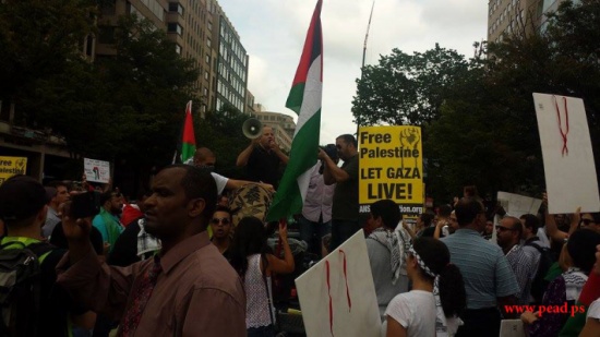 بالصور  .. أكثر من ستين ألف متضامن مع غزة يحاصرون البيت الأبيض