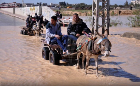 الاحتلال يفتح احد سدود "وادي غزة" ويغرق عشرات المنازل الاحتلال يفتح احد سدود "وادي غزة" ويغرق عشرات المنازل