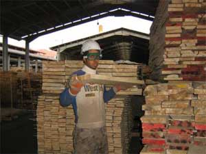 توافر 50 فرصة عمل في مديرية تشغيل اربد 