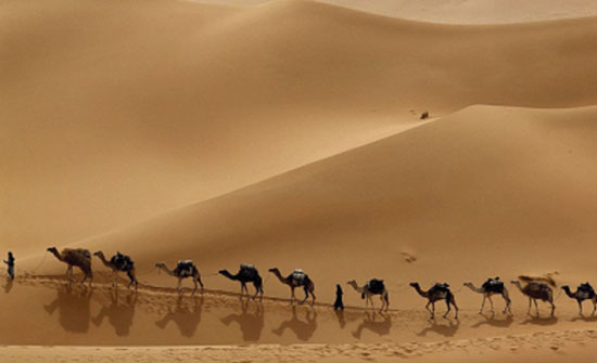 1440 عاما على الهجرة النبوية تَحفلُ بالدروس والعبر