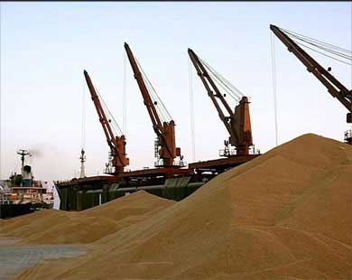 إيران تحظر استيراد القمح والأرز إيران تحظر استيراد القمح والأرز