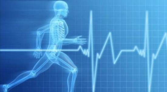 اختتام اعمال دورة محاضري الحكام واللياقة البدنية الدولية اختتام اعمال دورة محاضري الحكام واللياقة البدنية الدولية
