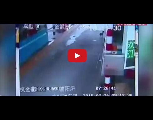 بالفيديو: كلب وفي يطارد السيارات بحثاً عن صاحبه