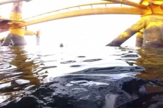 شاهد..  غطاس يفقد وعيه وصديقه ينقذه بوقت قياسي