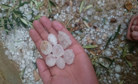 بالصور : تساقط حبات البرد في الجنوب - شاهد