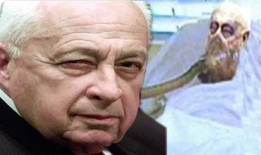 شارون يعود لمنزله بعد 4 سنوات "غيبوبة"