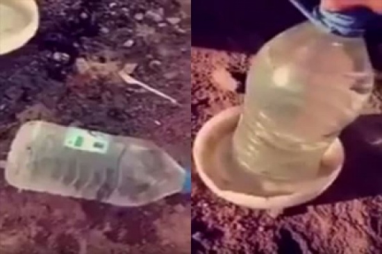 بالفيديو.. مواطن يرحم الطيور والحيوانات في البر بهذه الطريقة