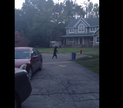 دب يسير بشكل طبيعي على طرفين .. فقط