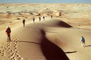 رؤساء أركان دول الساحل الإفريقي يبحثون مواجهة تنظيم القاعدة 