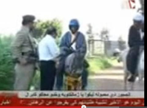 " فين رخص الحمار "