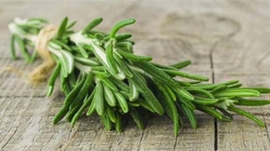 نبات عطريّ يحسّن الذاكرة بنسبة 75 في المئة! نبات عطريّ يحسّن الذاكرة بنسبة 75 في المئة!