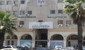 وزير الزراعة يتفقد مناطق تعرضت للحرائق بعجلون وجرش
