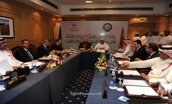 اللجنة الفنية الرياضية المعاونة لوزراء الشباب والرياضة العرب تلتئم بمسقط اللجنة الفنية الرياضية المعاونة لوزراء الشباب والرياضة العرب تلتئم بمسقط
