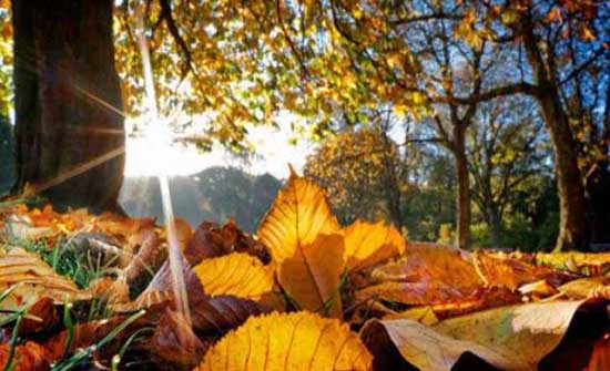 اجواء خريفية اعتيادية الاربعاء