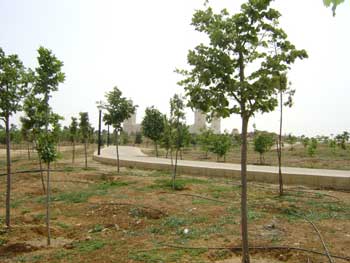 بدء فعاليات معرض الرمان الاردني الثالث