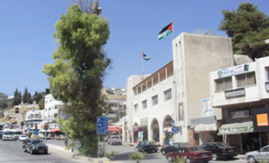 بلدية عجلون تباشر حملة مكافحة الحشرات بلدية عجلون تباشر حملة مكافحة الحشرات
