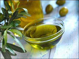 توقع انتاج 600 طن زيت زيتون في الكورة  