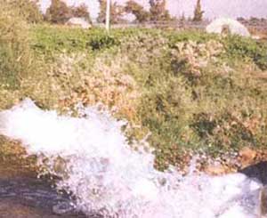 وزير المياه يلتقي المزارعين في الغور الجنوبي  