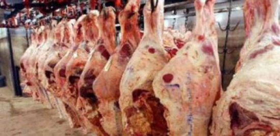 اتلاف لحوم بقرية باربد غير صالحة للاستهلاك اتلاف لحوم بقرية باربد غير صالحة للاستهلاك
