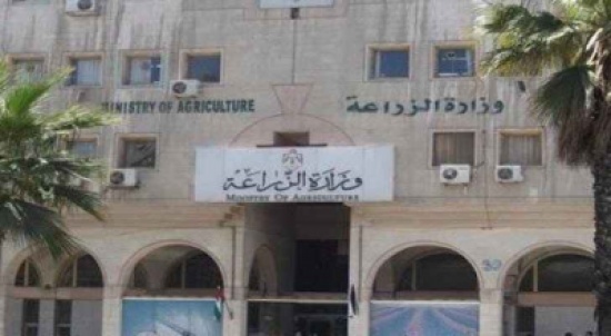 الزراعة لم تبلغ رسميا بتوقف الامارات عن استيراد الخضار الاردنية
