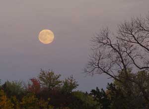 القمر سطع 13 ساعة مساء الجمعة الماضية