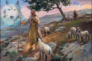 توجان تكتب عن : الراعي والذئب والحملان توجان تكتب عن : الراعي والذئب والحملان