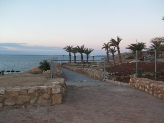 بلدية الكرك : استئجار 320 دونما على شاطئ البحر الميت بلدية الكرك : استئجار 320 دونما على شاطئ البحر الميت