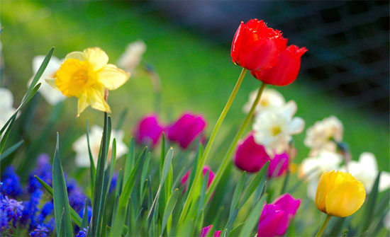 النشرة الجوية المفصلة لعطلة نهاية الاسبوع