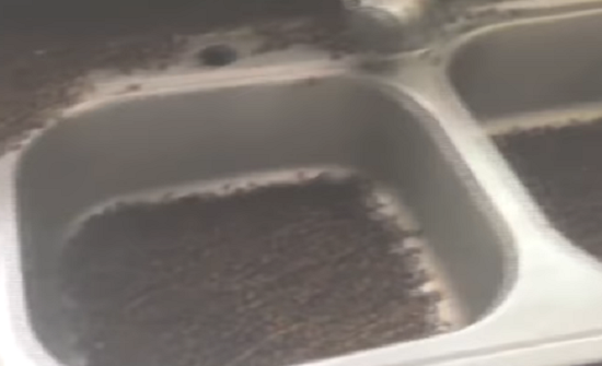 بالفيديو : أسراب نحل تقتحم منزلا في الصين