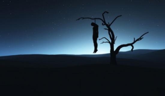 " مجهول " ينتحر على شجرة بالرصيفة